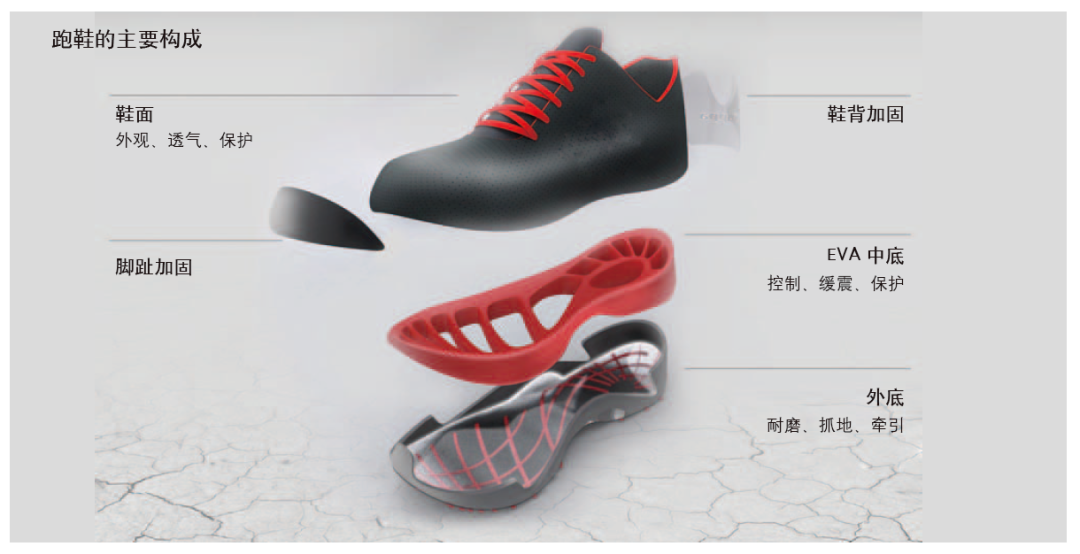 什么样的跑鞋才最适合你?