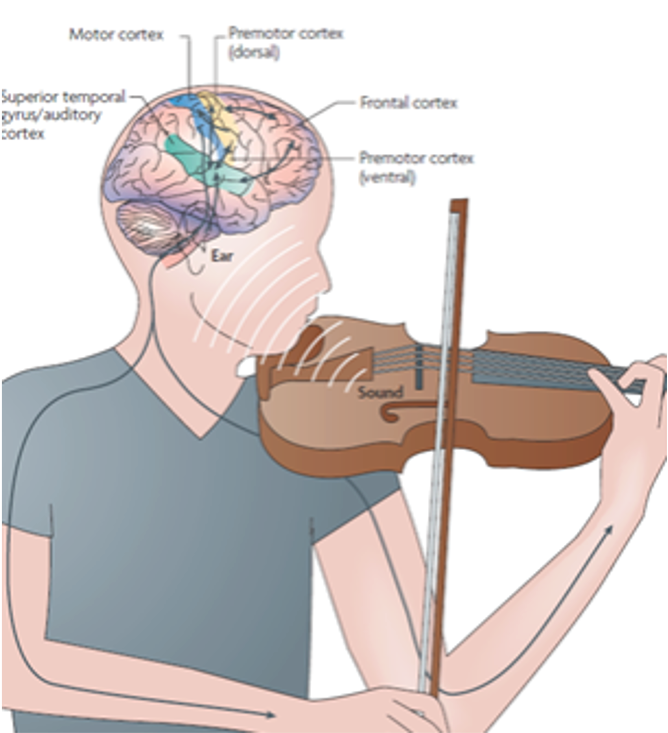 很多人对健康的理解，其实是错误的休闲区蓝鸢梦想 - Www.slyday.coM