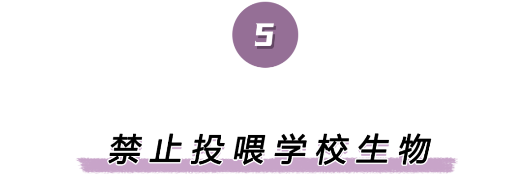 那些离谱的校规背后,都有啥更离谱的故事?__财经头条