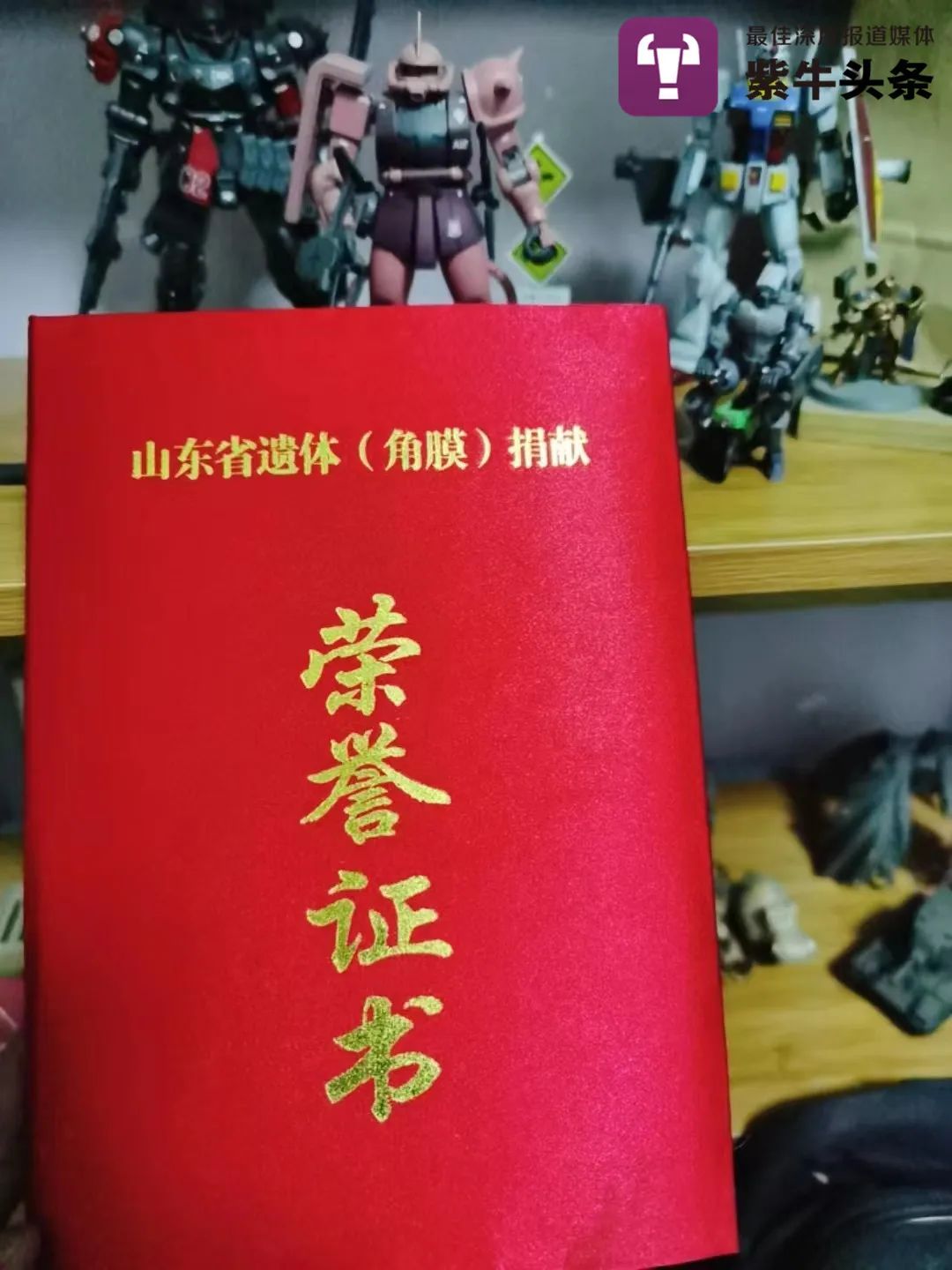 【紫牛头条】儿子突发心衰离世，母亲自学3D建模打印，“做他最喜欢做的事”休闲区蓝鸢梦想 - Www.slyday.coM