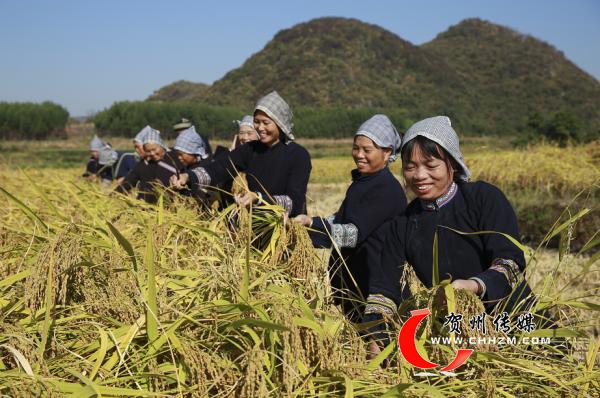 富川:载歌载舞庆丰年__财经头条