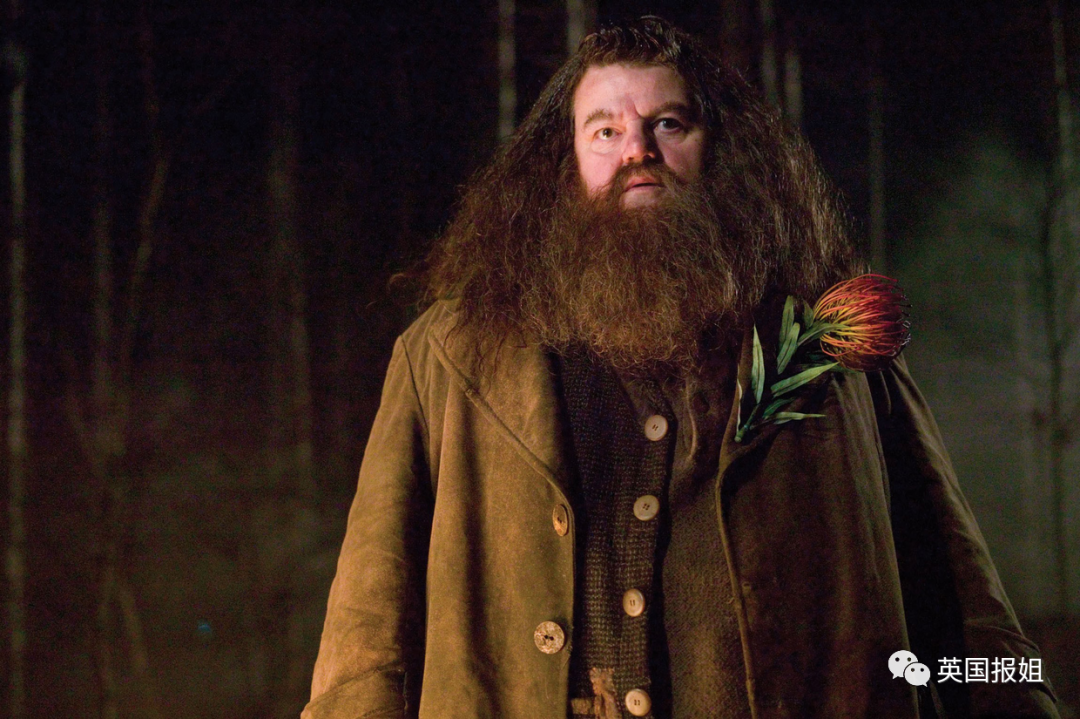 海格客车的缺点 同质化严重 大客车品牌有哪些