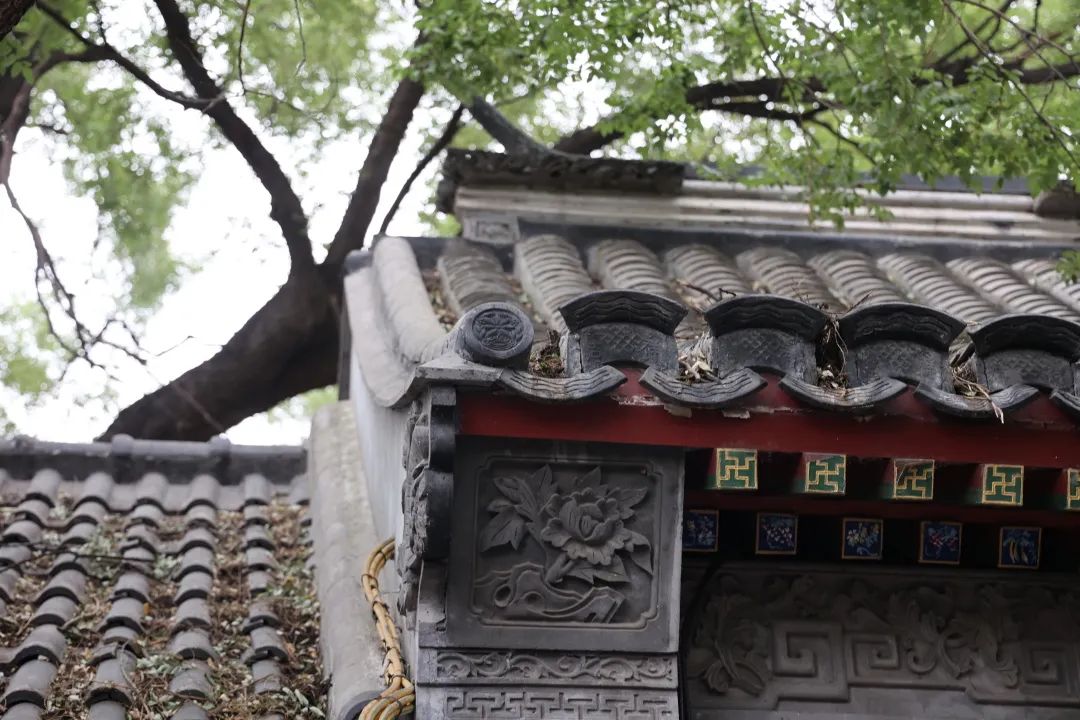 那些开在胡同里的书店，是城市之光休闲区蓝鸢梦想 - Www.slyday.coM