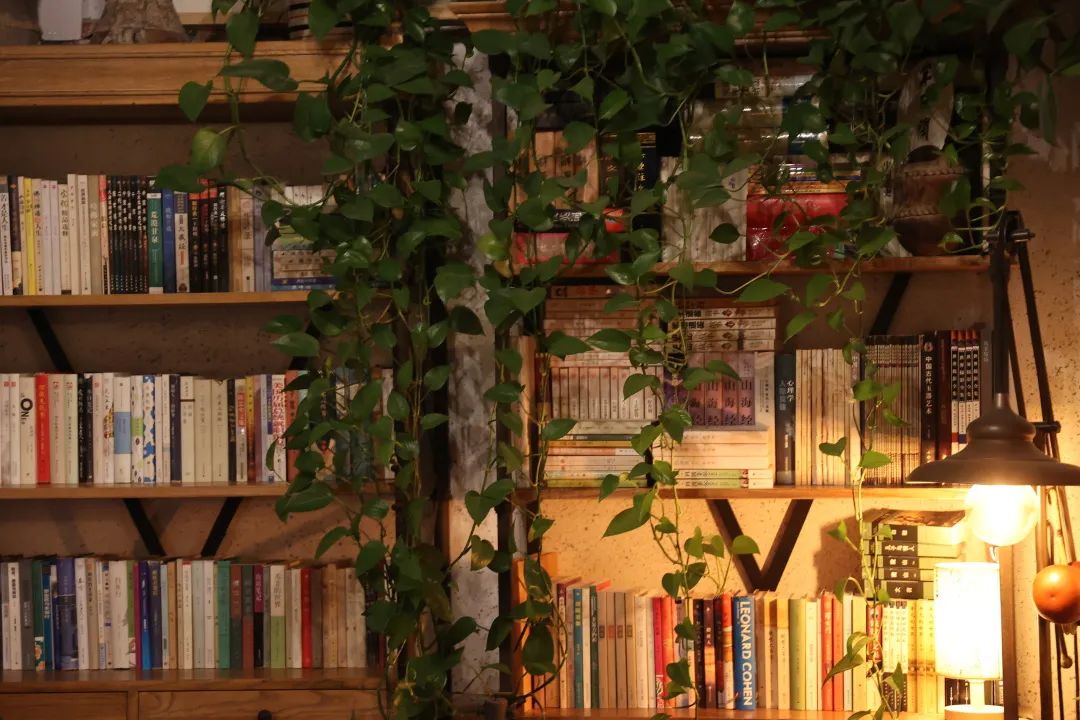 那些开在胡同里的书店，是城市之光休闲区蓝鸢梦想 - Www.slyday.coM