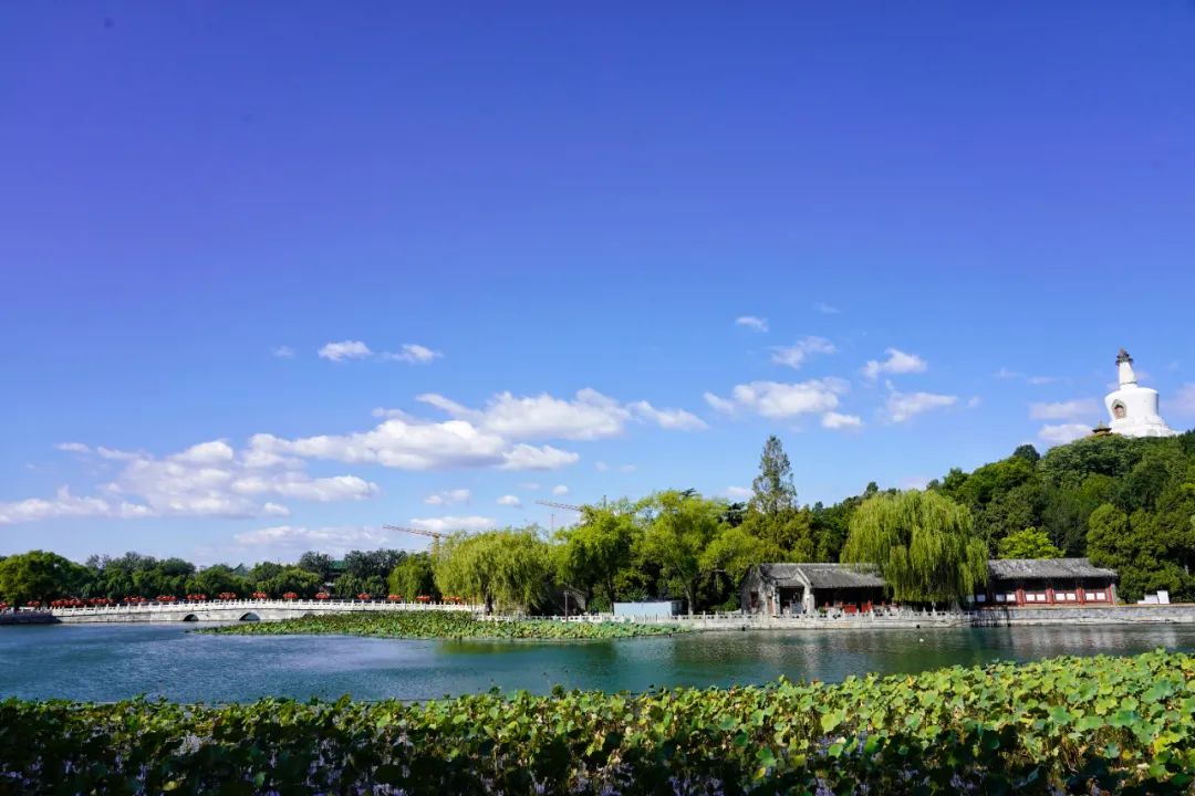 2022年10月9日,蓝天白云下的北京北海公园.新京报记者 王飞 摄