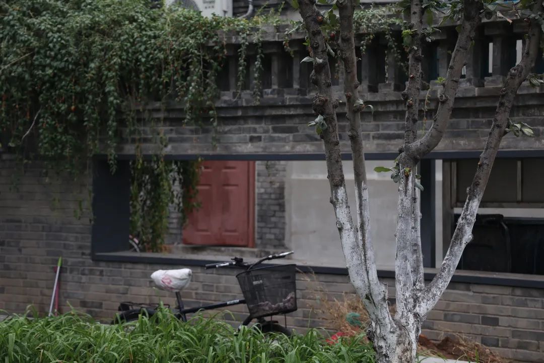 那些开在胡同里的书店，是城市之光休闲区蓝鸢梦想 - Www.slyday.coM