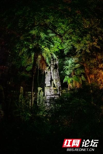 株洲“一米微光”点亮回家路，原来家门口的夜景也可以这么美休闲区蓝鸢梦想 - Www.slyday.coM