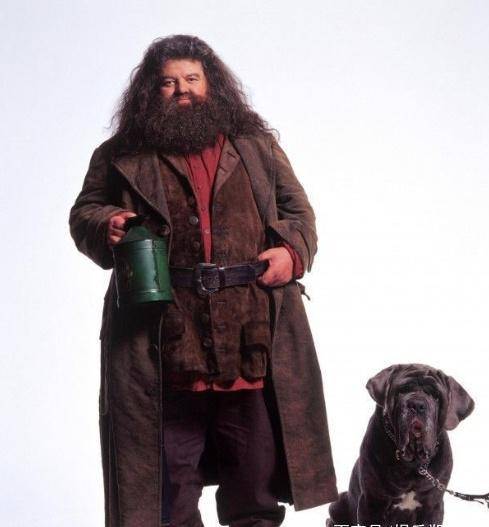 《哈利·波特》海格扮演者因病去世,jk罗琳发文悼念,网友:致敬善良的