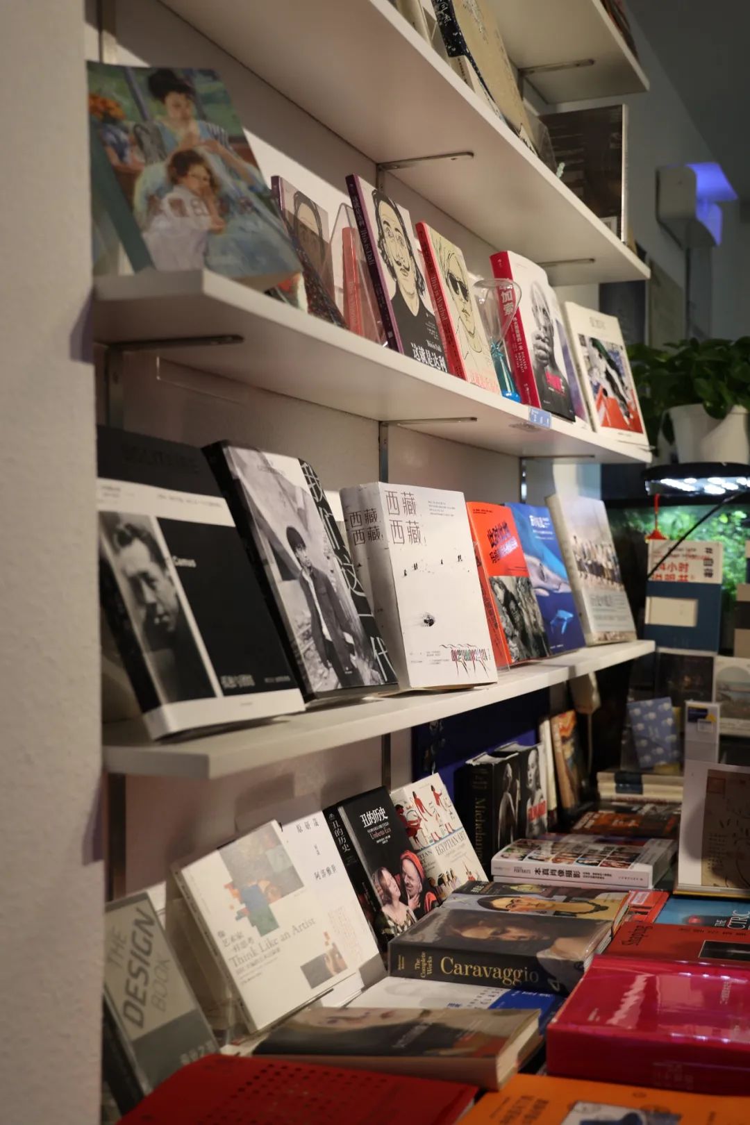 那些开在胡同里的书店，是城市之光休闲区蓝鸢梦想 - Www.slyday.coM