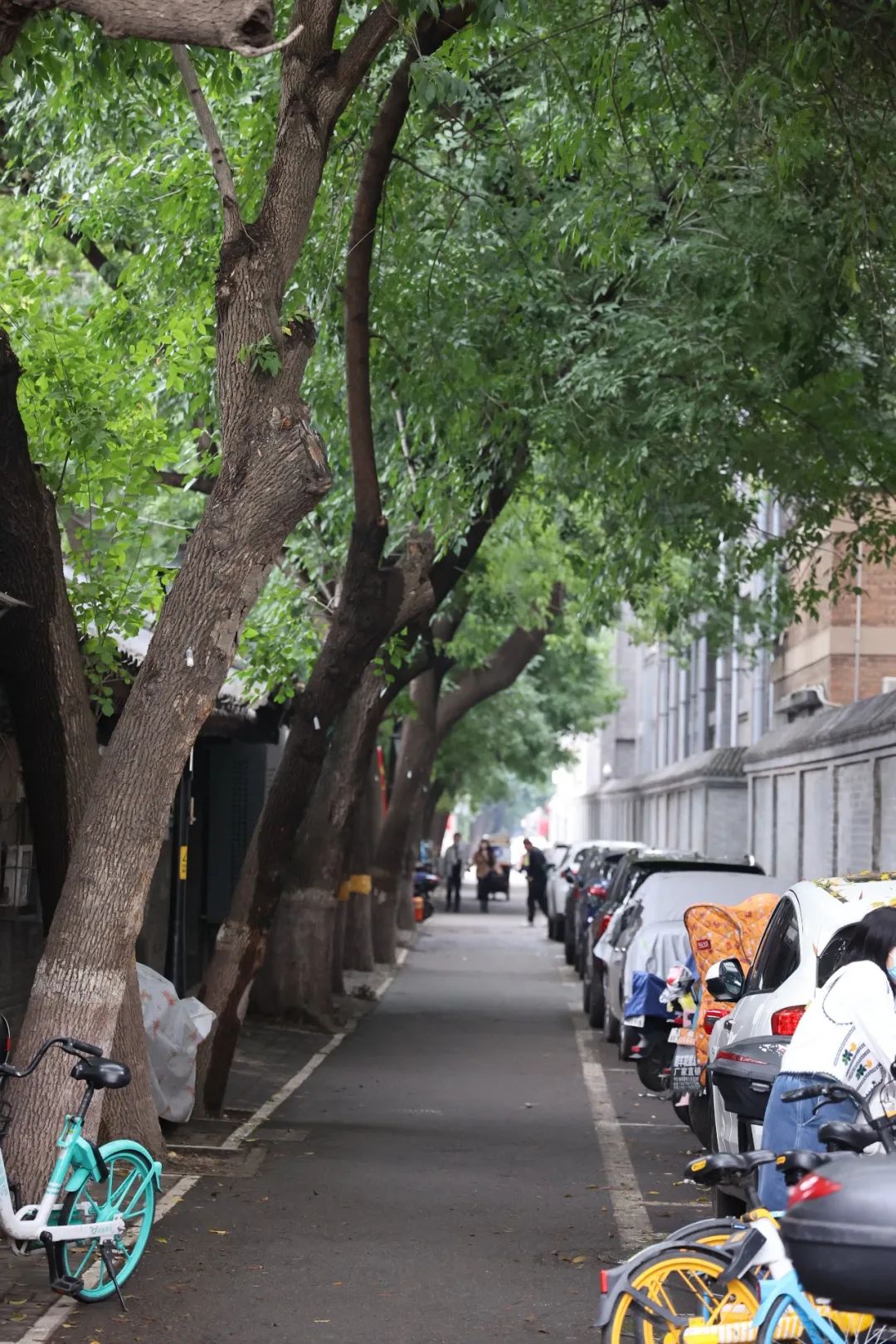 那些开在胡同里的书店，是城市之光休闲区蓝鸢梦想 - Www.slyday.coM