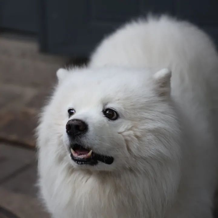 那些开在胡同里的书店，是城市之光休闲区蓝鸢梦想 - Www.slyday.coM