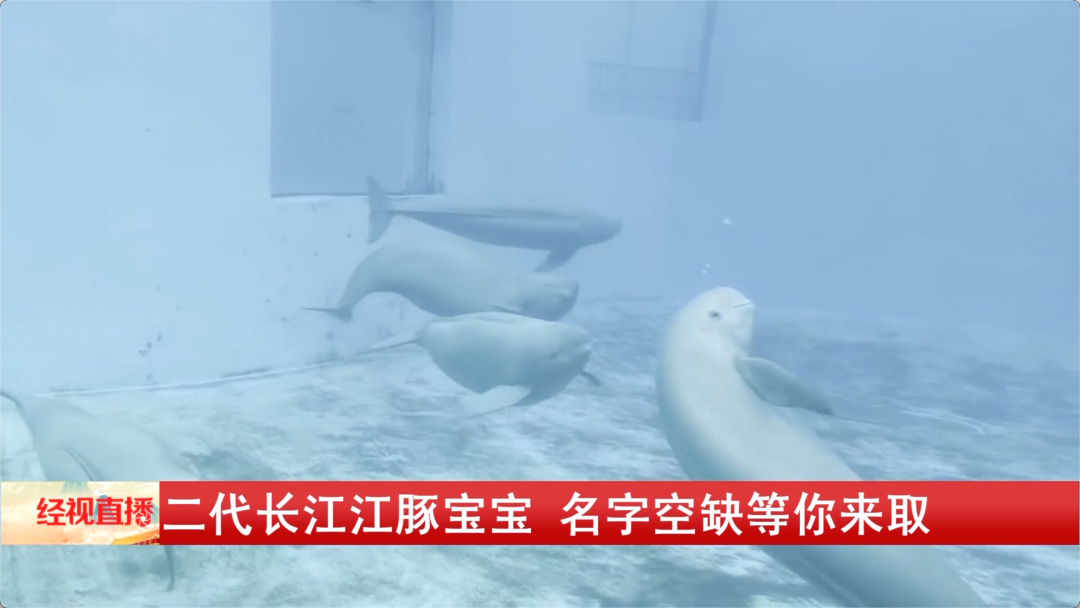 是“YYc”、是“小胖子”、是休闲区蓝鸢梦想 - Www.slyday.coM