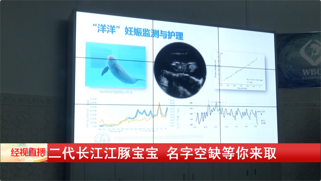 是“YYc”、是“小胖子”、是休闲区蓝鸢梦想 - Www.slyday.coM
