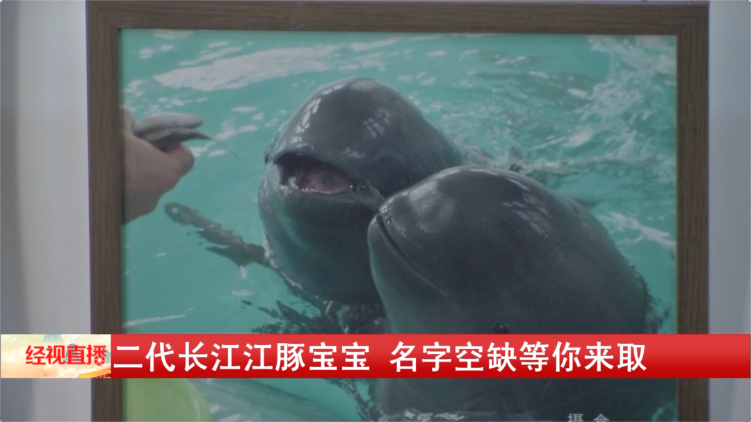 是“YYc”、是“小胖子”、是休闲区蓝鸢梦想 - Www.slyday.coM
