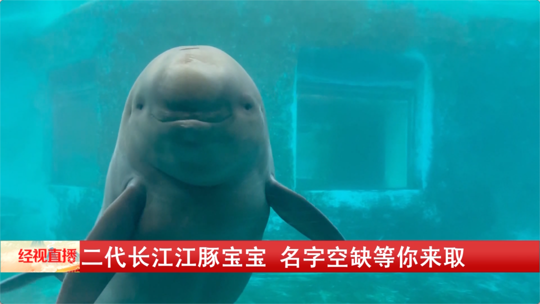 是“YYc”、是“小胖子”、是休闲区蓝鸢梦想 - Www.slyday.coM