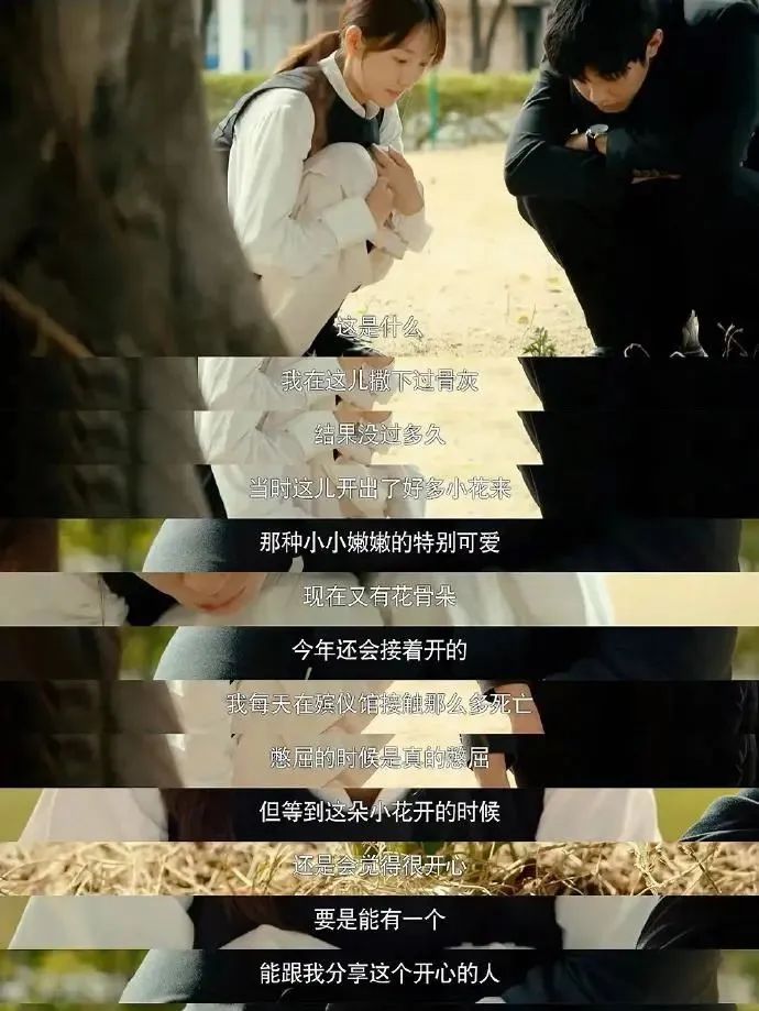 被这部评分8.3的宝藏新剧治愈到流泪...休闲区蓝鸢梦想 - Www.slyday.coM
