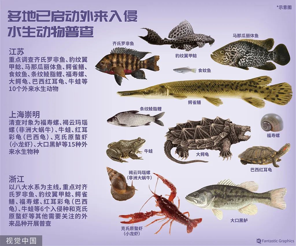 鄱阳湖数月没下雨，20多人自费开车送万斤搁浅鱼到赣江！网友点赞​：这才是真正的放生休闲区蓝鸢梦想 - Www.slyday.coM
