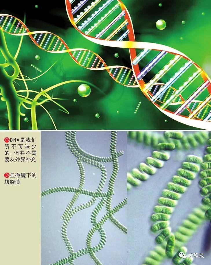 9亿吨:美国最浪费,未来只能吃昆虫度日,联合国发布...