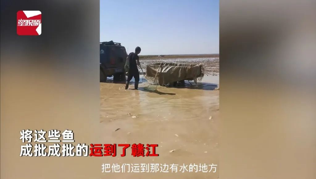 鄱阳湖数月没下雨，20多人自费开车送万斤搁浅鱼到赣江！网友点赞​：这才是真正的放生休闲区蓝鸢梦想 - Www.slyday.coM
