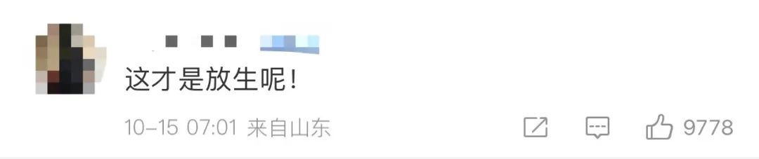 鄱阳湖数月没下雨，20多人自费开车送万斤搁浅鱼到赣江！网友点赞​：这才是真正的放生休闲区蓝鸢梦想 - Www.slyday.coM
