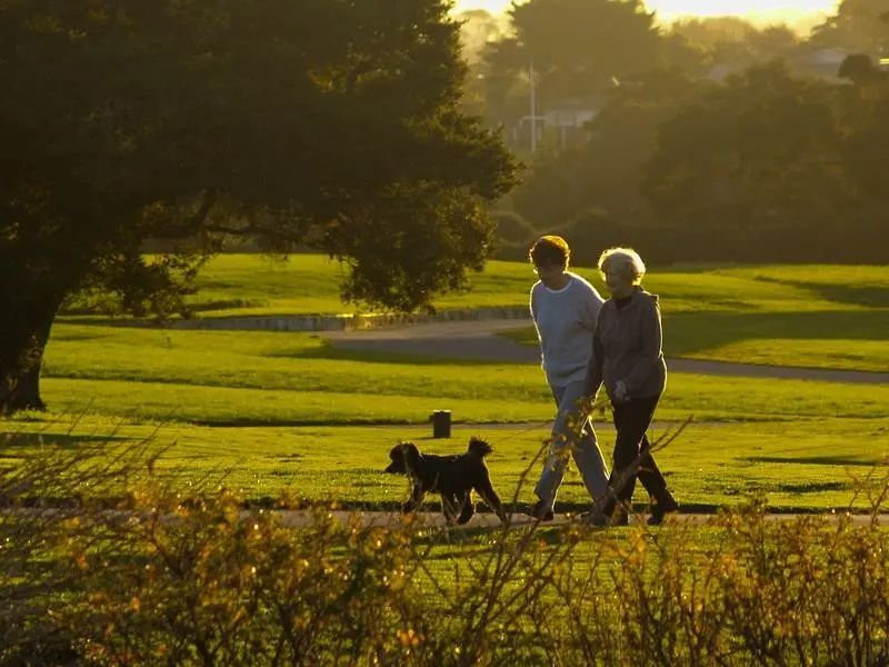 【生活提醒】“日行万步”走出健康？小心反而毁了你！关于走路，正确的打开方式是……休闲区蓝鸢梦想 - Www.slyday.coM