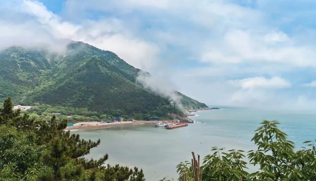 不只有红嘴鸥、神话之鸟……珍稀鸟儿来过冬，就是看中了青岛这一点休闲区蓝鸢梦想 - Www.slyday.coM