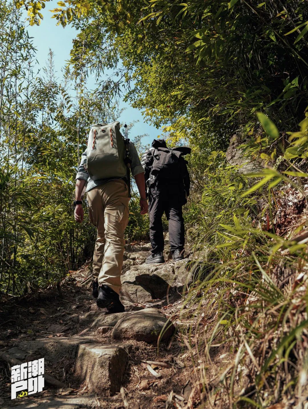 音乐唱作人 ice 杨长青,歌手魏奇奇 kiki,野外生存专家朱炜强,环球游