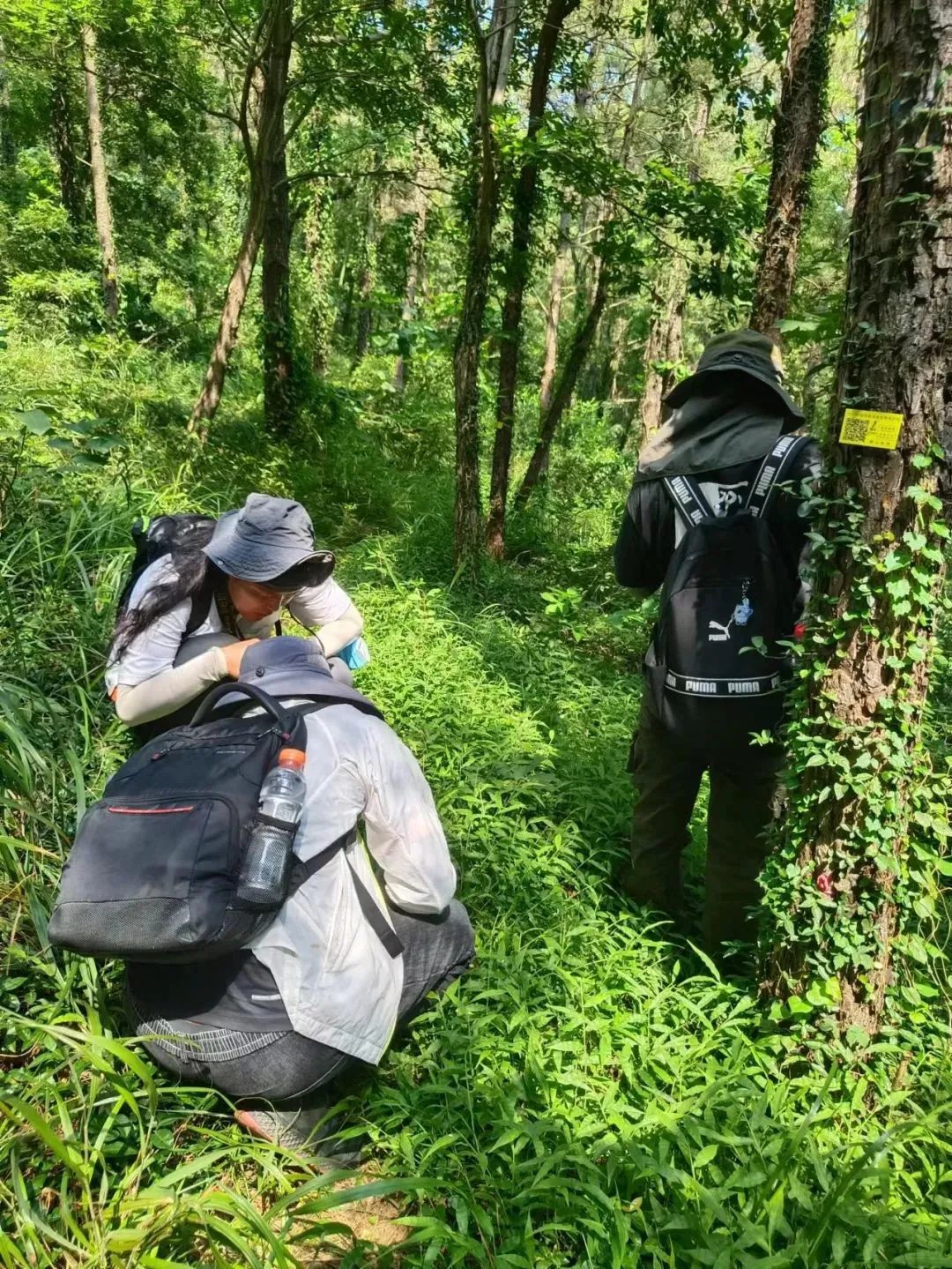 不只有红嘴鸥、神话之鸟……珍稀鸟儿来过冬，就是看中了青岛这一点休闲区蓝鸢梦想 - Www.slyday.coM