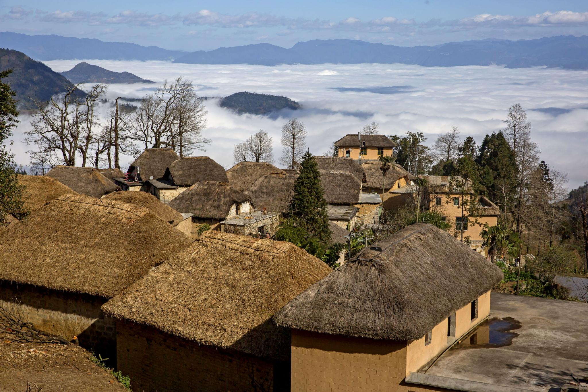十年减贫故事哈尼梯田儿女在党旗下创造新生活