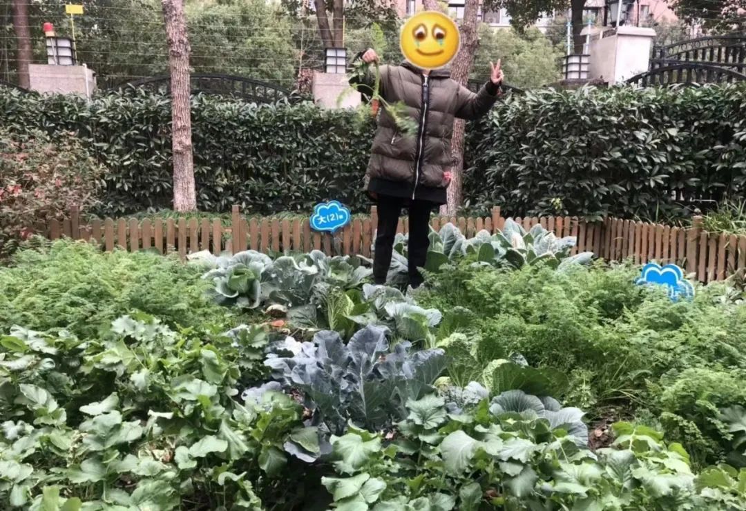 山东又双叒叕上热搜了！这次是因为……休闲区蓝鸢梦想 - Www.slyday.coM