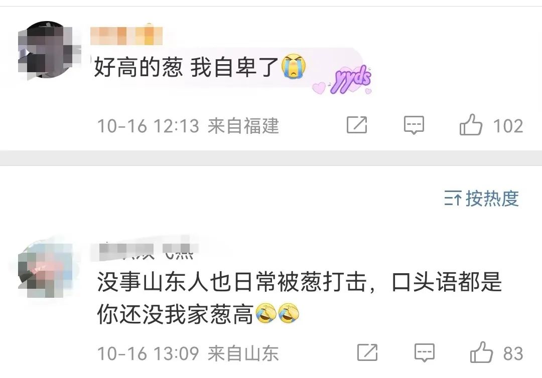 山东又双叒叕上热搜了！这次是因为……休闲区蓝鸢梦想 - Www.slyday.coM