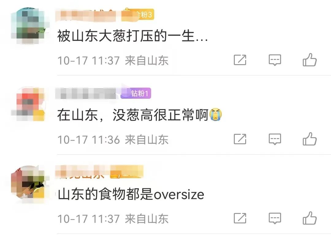 又到了被山东大葱俯视的季节，网友吵翻了休闲区蓝鸢梦想 - Www.slyday.coM