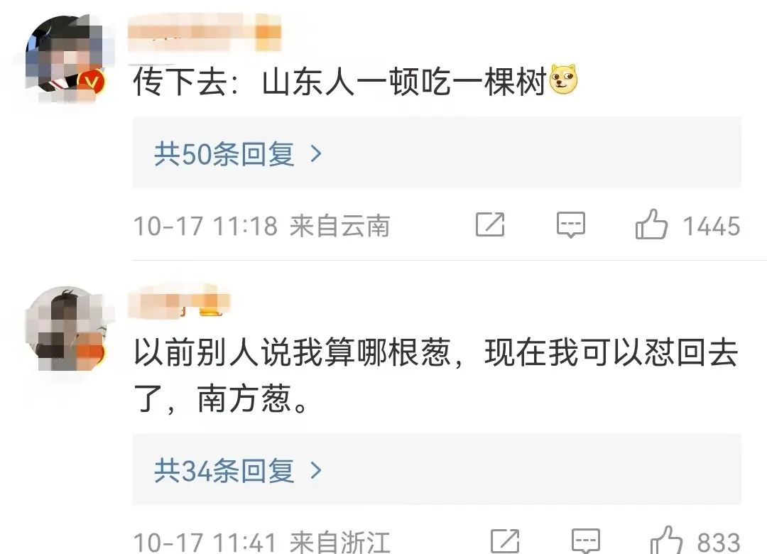 又到了被山东大葱俯视的季节，网友吵翻了休闲区蓝鸢梦想 - Www.slyday.coM