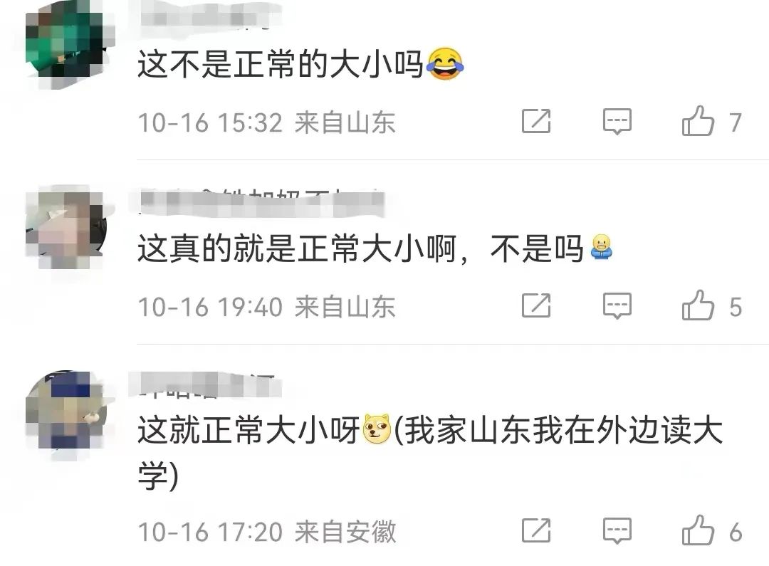 山东又双叒叕上热搜了！这次是因为……休闲区蓝鸢梦想 - Www.slyday.coM