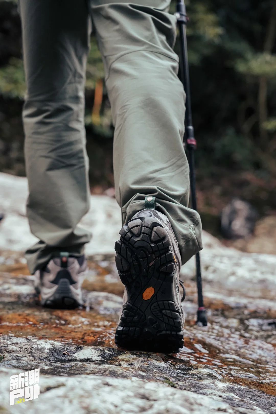 音乐唱作人 ice 杨长青,歌手魏奇奇 kiki,野外生存专家朱炜强,环球游