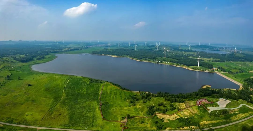 走进县城看发展之一百零二辽宁彰武县沙地增绿产业增收