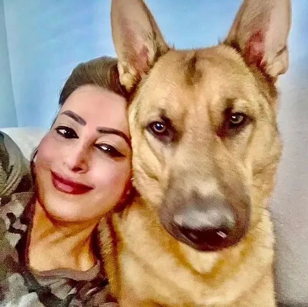 大型犬袭击警察后被判安乐死，铲屎官急了：要是狗死了我就自杀！|宙斯|狗|铲屎官_新浪新闻