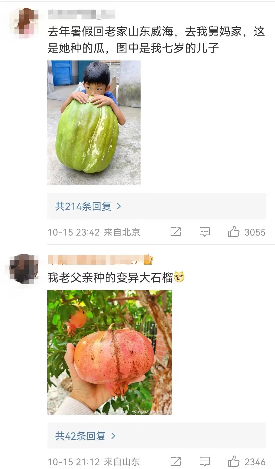 山东又双叒叕上热搜了！这次是因为……休闲区蓝鸢梦想 - Www.slyday.coM