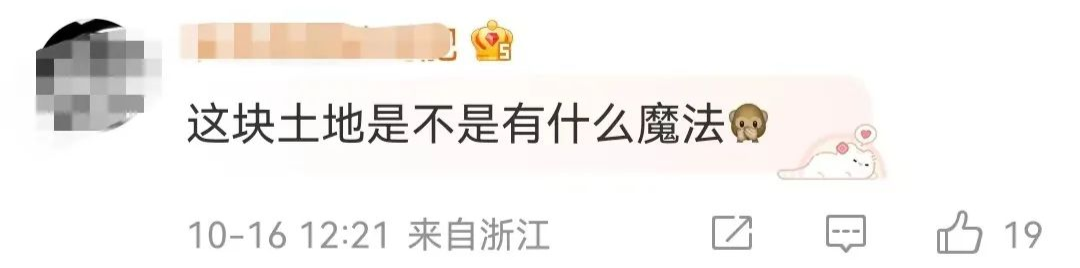 山东又双叒叕上热搜了！这次是因为……休闲区蓝鸢梦想 - Www.slyday.coM