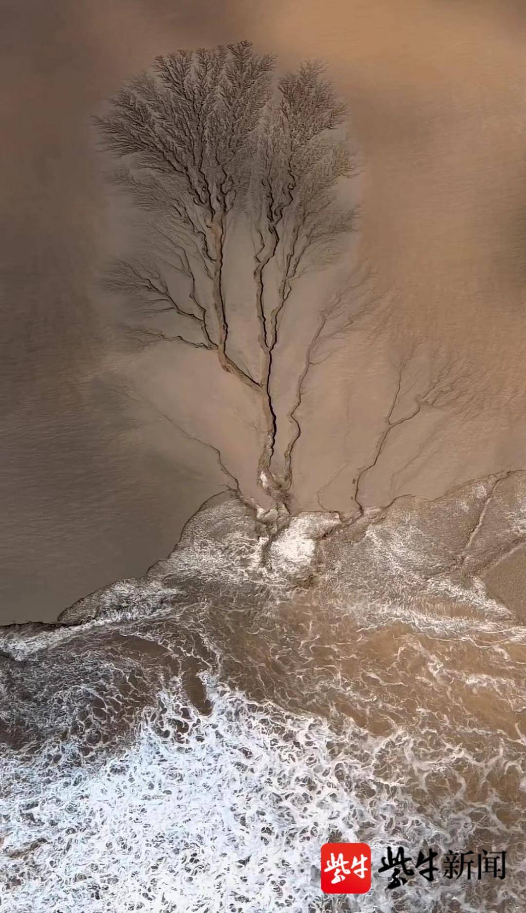 航拍钱塘江潮水“灌溉大地之树”,网友惊叹:宛如水墨画般壮丽雄奇|钱塘江_新浪新闻
