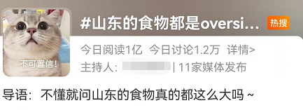 山东又双叒叕上热搜了！这次是因为……休闲区蓝鸢梦想 - Www.slyday.coM
