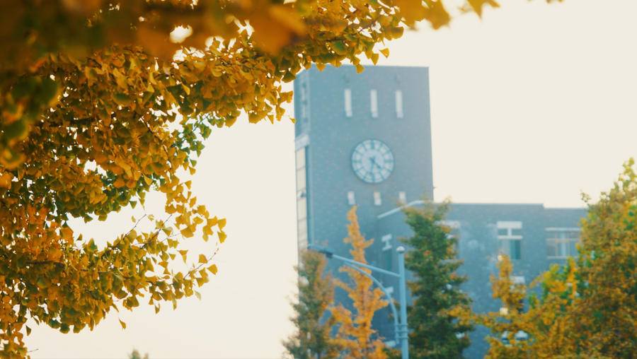 寻找山东最美大学山东青年政治学院刘玉美山青的春秋