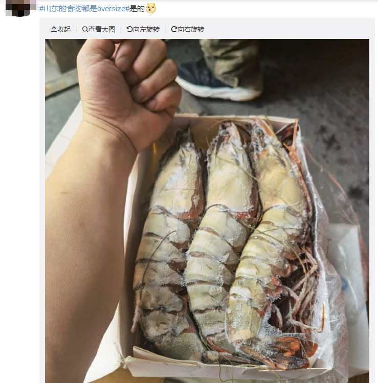 山东又双叒叕上热搜了！这次是因为……休闲区蓝鸢梦想 - Www.slyday.coM