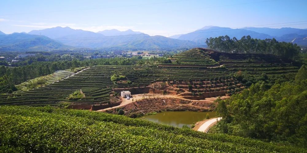 从脱贫攻坚到乡村振兴，惠州探索独具特色的乡村发展之路休闲区蓝鸢梦想 - Www.slyday.coM