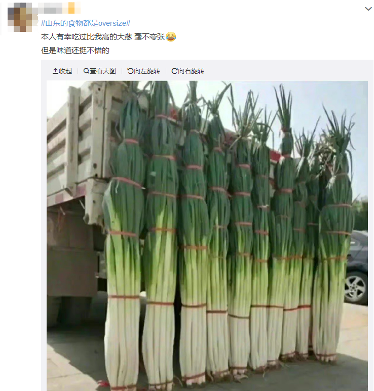 山东又双叒叕上热搜了！这次是因为……休闲区蓝鸢梦想 - Www.slyday.coM
