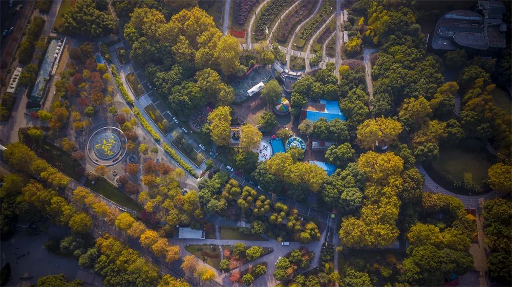 穿越迷塔城？“夜猫子”书店？……传统旅游景点还有这么多隐藏玩法！休闲区蓝鸢梦想 - Www.slyday.coM