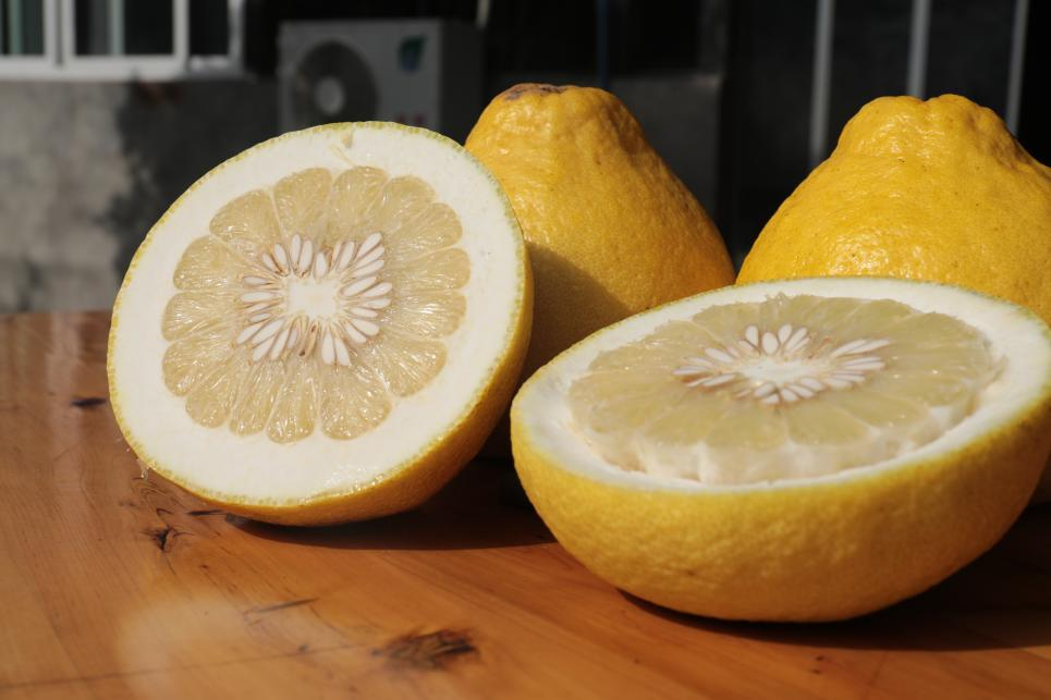 柚子种得越来越多，可最近柚园土壤好像出问题了，有啥好肥料能帮助改善不？