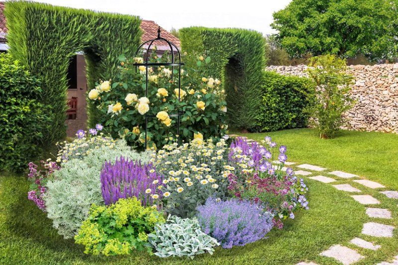 庭院花境—双面观赏花境|花境|植物|条状_新浪新闻