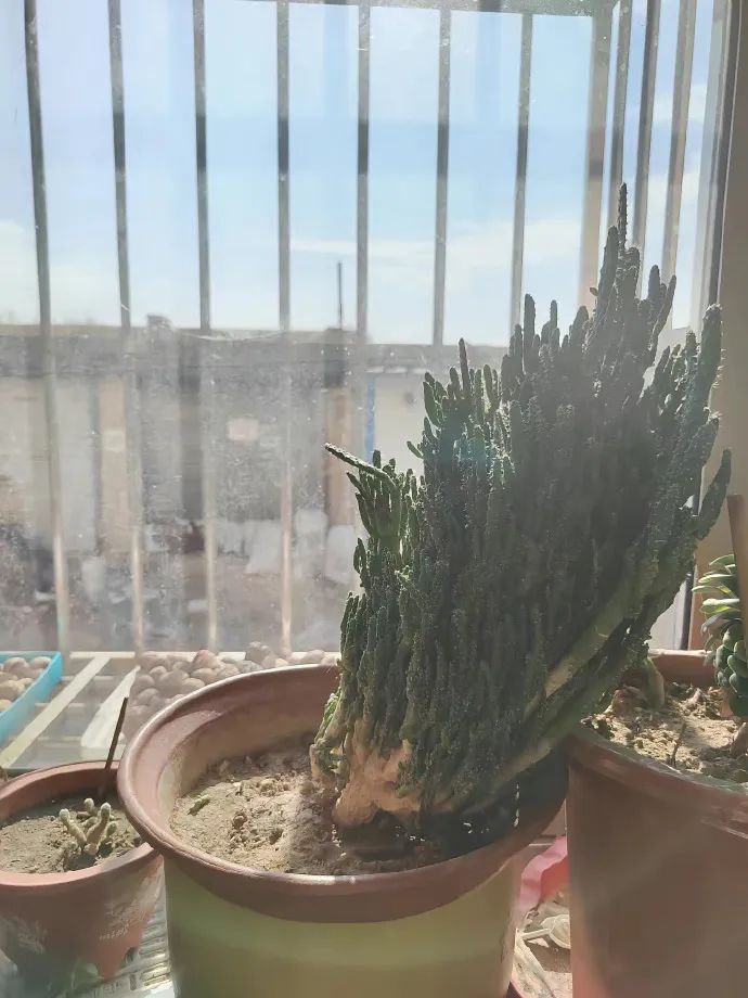知名男星被曝偷偷生下孩子？！照片放大后，有些秘密藏不住了哈哈哈哈哈休闲区蓝鸢梦想 - Www.slyday.coM