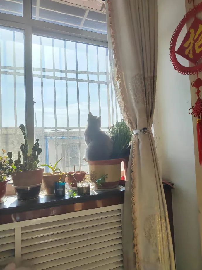 知名男星被曝偷偷生下孩子？！照片放大后，有些秘密藏不住了哈哈哈哈哈休闲区蓝鸢梦想 - Www.slyday.coM